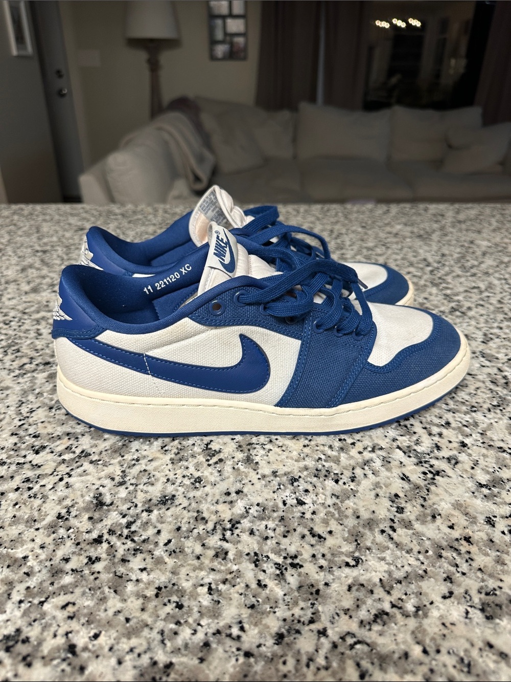 Nike Jordan 1 Low-Top Sneakers in Blue and White